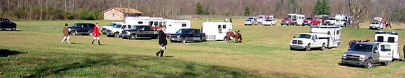 crop202-0204_IMG