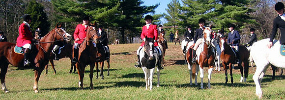crop202-0207_IMG