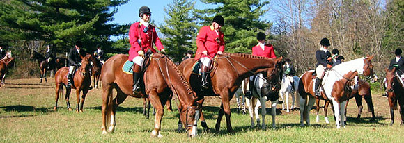 crop202-0211_IMG