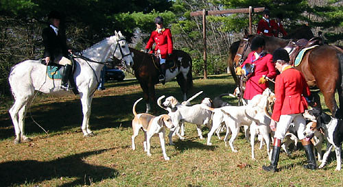 crop202-0226_IMG