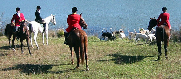 crop202-0232_IMG