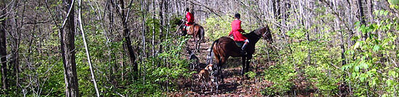 crop202-0234_IMG