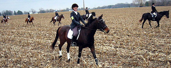 crop202-0294_IMG