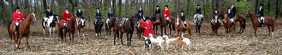 crop203-0314_IMG
