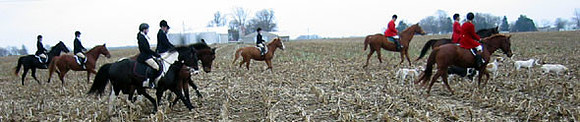 crop203-0320_IMG