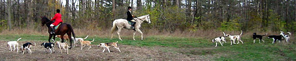 crop203-0337_IMG
