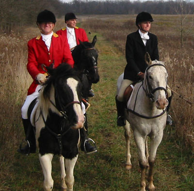 crop203-0335_IMG