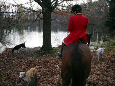 crop203-0342_IMG