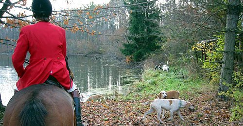crop203-0344_IMG