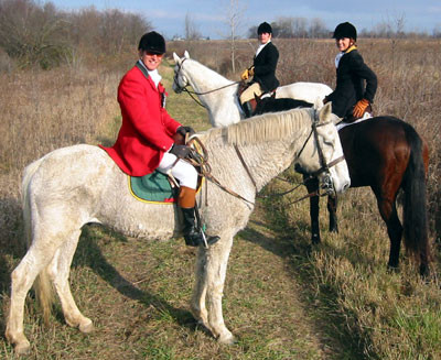 crop203-0359_IMG
