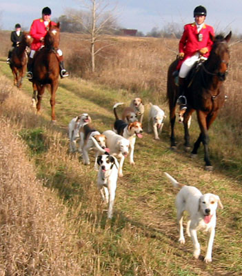 crop203-0361_IMG