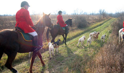 crop203-0362_IMG