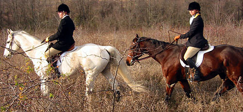 crop203-0366_IMG