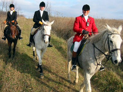 crop203-0370_IMG