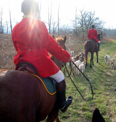 crop203-0371_IMG
