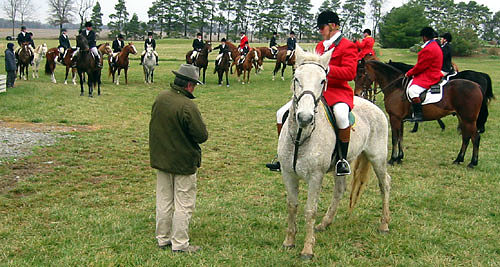 crop203-0397_IMG