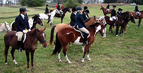 crop203-0400_IMG