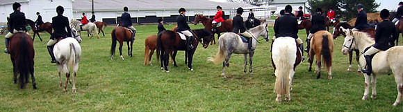 crop204-0402_IMG