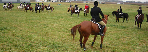 crop204-0409_IMG