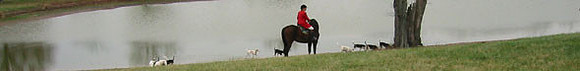 crop204-0410_IMG