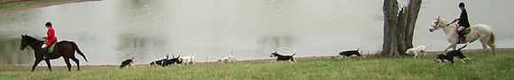 crop204-0411_IMG