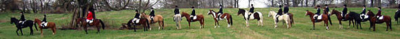 crop204-0412_IMG