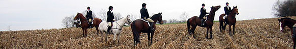 crop204-0417_IMG
