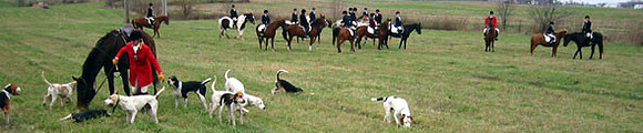crop204-0421_IMG