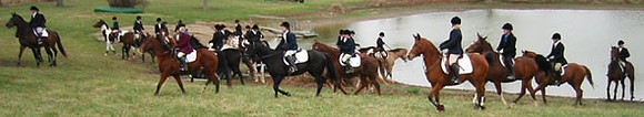 crop204-0436_IMG