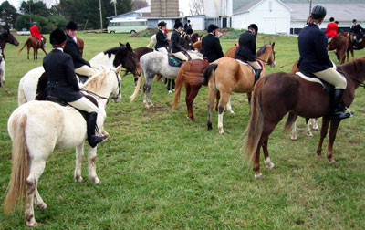 crop204-0401_IMG
