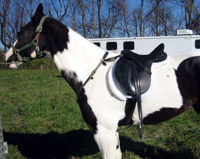 crop204-0475_IMG