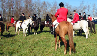 crop204-0476_IMG