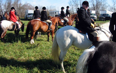crop204-0480_IMG