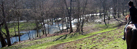crop204-0491_IMG