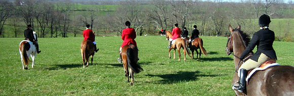 crop204-0483_IMG