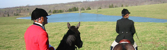 crop204-0497_IMG