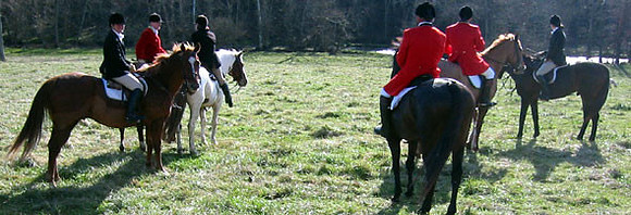 crop205-0507_IMG