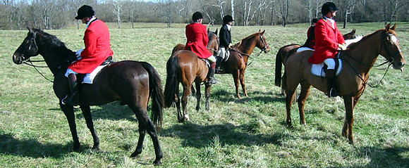 crop205-0505_IMG