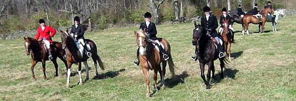 crop205-0508_IMG