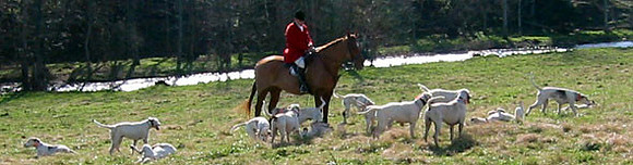 crop205-0511_IMG