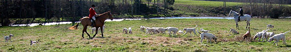 crop205-0512_IMG