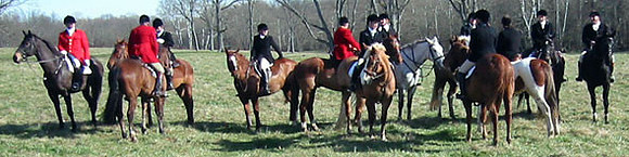 crop205-0517_IMG