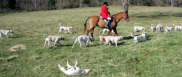 crop205-0515_IMG