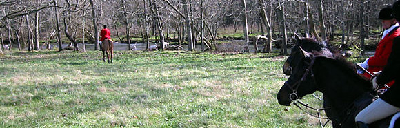 crop205-0521_IMG