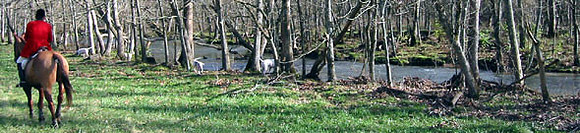 crop205-0519_IMG