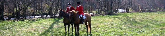 crop205-0522_IMG