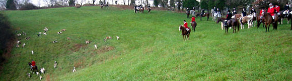 crop-590-200-0078_IMG