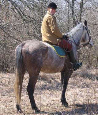 Fox-Hunt-17-Mar-05-006a