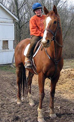 Fox-Hunt-17-Mar-05-014a