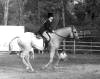 huntertrials-heck-80s